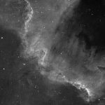 Nordamerikanebel (NGC7000) / 30.7.2018 / TMB 15cm-Apochromat, ASI1600MMC, H-Alpha-Filter, 160 Min. / F. Steimer