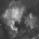 Nordamerikanebel (NGC7000) / 4.6.2019 / Vixen FL55SS, ASI1600MMC, H-Alpha-Filter, 120 Min. / F. Steimer