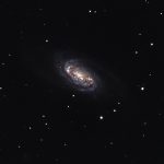 2020-03-18 / NGC2903 / TMB152 900mm F5,9 - ASI1600MMC - 120min / F.Steimer