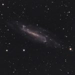 2020-04-23 / NGC4236 / TMB152 900mm F5,9 - ASI1600MMC - 260min / F.Steimer