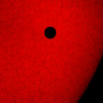 Venus vor der Sonne / 08.06.2004 / H-a Filter - Starfire 180 - Diafilm / F.Steimer