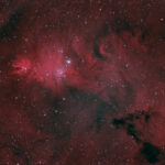2022-03-09 / NGC2264 (Conus-Nebel) / TS140 720mm F5,2 - Filter SHHO - ASI2600MC - 240min / G.Hackner