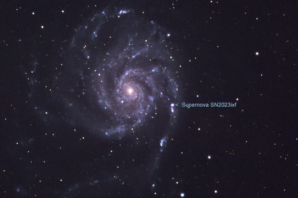 2023-05-25 / M101 mit Supernova SN2023ixf / CFF165 1050mm F6,2 - ASI2600MC - 66min / F.Steimer