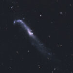 2024-05-11 / NGC4656 / CFF165 1050mm F6,2 - ASI2600MC - 195min / F.Steimer