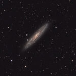 2024-08-30 / NGC253 (Sculptor-Galaxie) / Esprit ED100 550mm F5,5 - ASI2600MC - 99min / F.Steimer, Farm Rooisand, Namibia