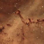 2026-03-07 / Rosettennebel (NGC2337-9) / CFF165 1080mm F6,5 - Filter HO - ASI2600MC - 5h / F.Steimer